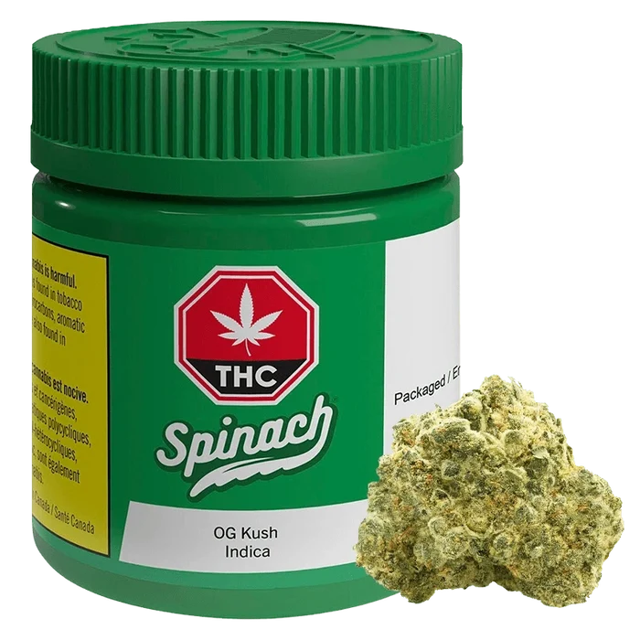Front-three-quarter view of a green Spinach OG Kush container with a matching ribbed lid and a cannabis bud resting beside it.