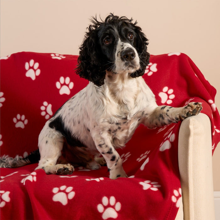 Pet Paw Print Fleece Throw 🇬🇧