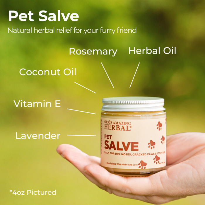Pet Salve 4oz Lifestyle Outdoor Ingredient Infographic in Human Hand
