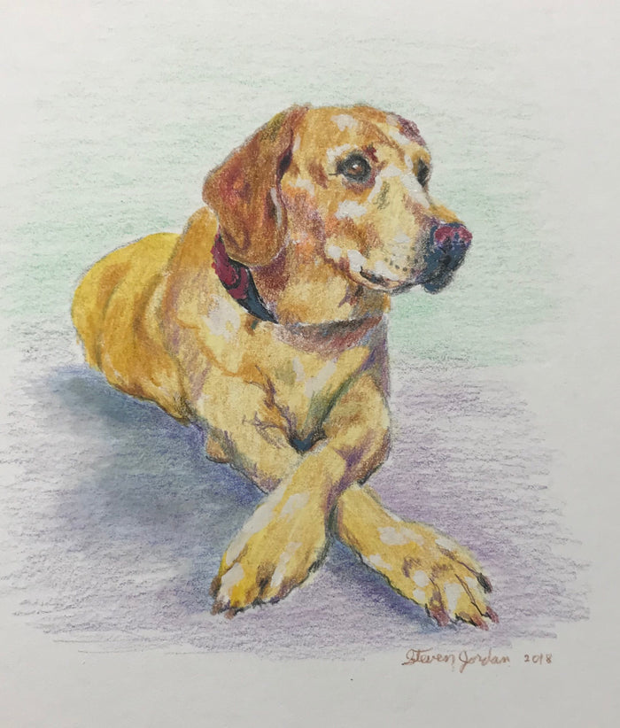 Petite pet portraits
