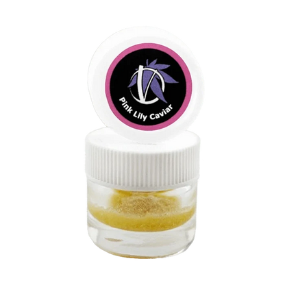 Close-up front view of a small clear jar with a white ribbed lid and open cap showing the Pink Lily Caviar logo above a golden powder inside.