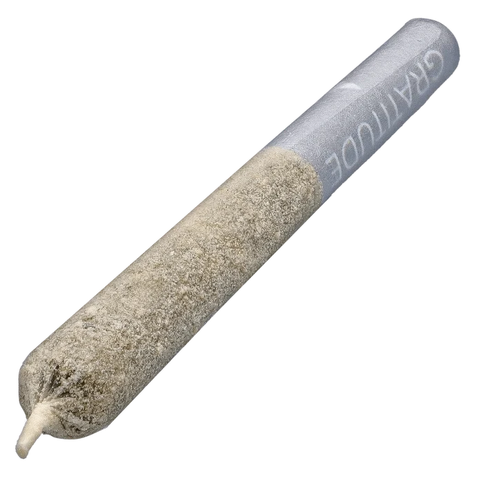 Close-up diagonal view of the Princess Cut Shungite Infused PR 3 x 0.5 g showing a textured, kief-coated cone tip and smooth silver paper near the branded end.