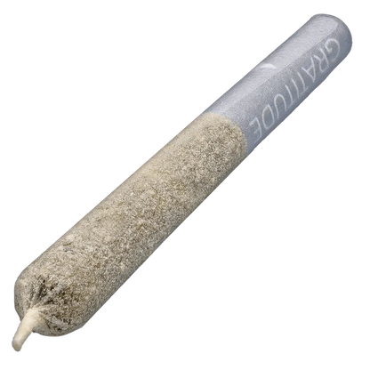 Close-up diagonal view of the Princess Cut Shungite Infused PR 3 x 0.5 g showing a textured, kief-coated cone tip and smooth silver paper near the branded end.
