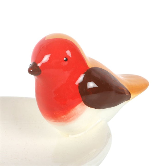 Robin Bird Bath Trinket Dish 🇬🇧