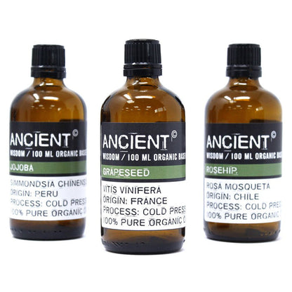 Rosehip Organic Base Oil - 100ml 🇬🇧