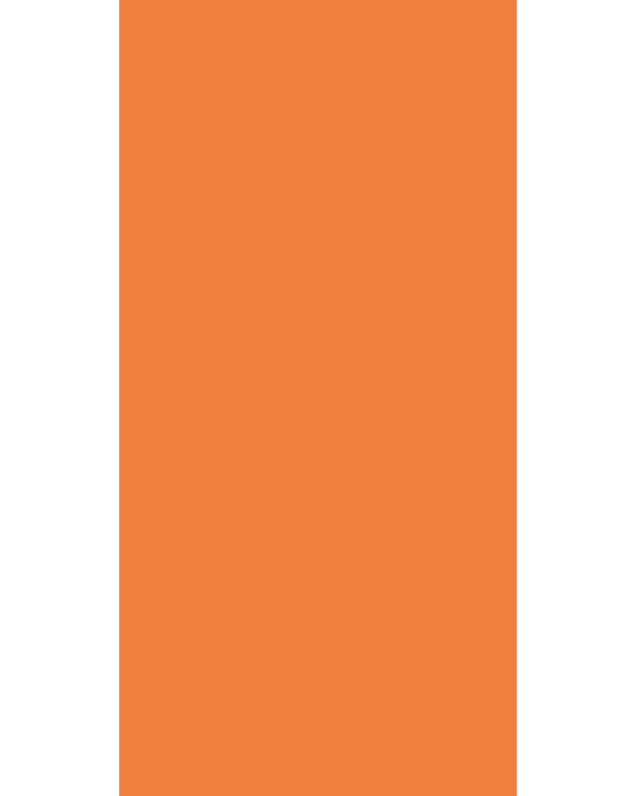 Rustic Orange - HG 9137
