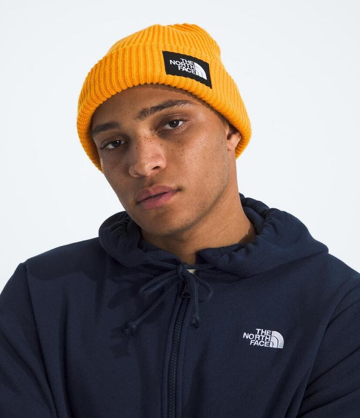 Salty Lined Beanie
