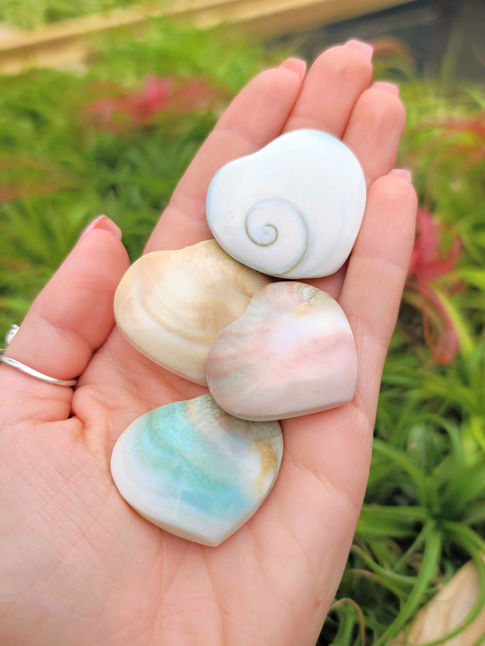 Shiva Eye Shell Crystal Heart Carving