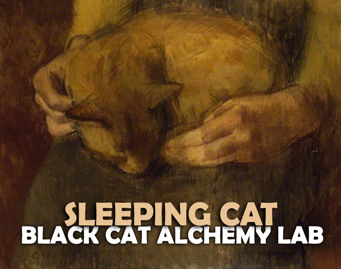 Artistic depiction of a cat being held with text 'Sleeping Cat' and 'Black Cat Alchemy Lab'.