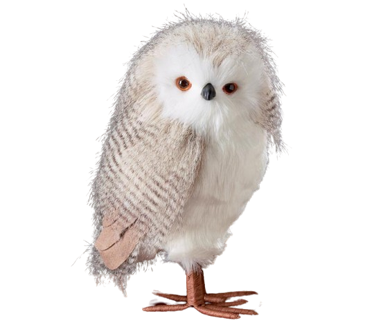 Standing Owl