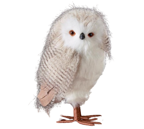 Standing Owl