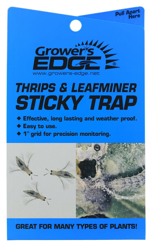 Sticky Thrips/Leafminer Traps - 5 Pack