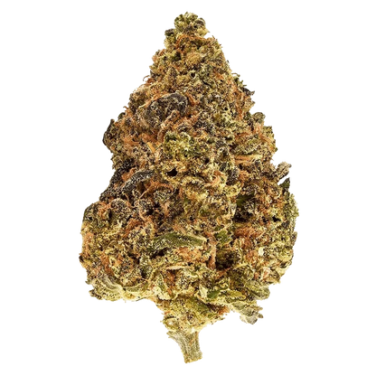 Top-down close-up of a dense, frosty bud of Strawberry Cheezequake against a plain white background.