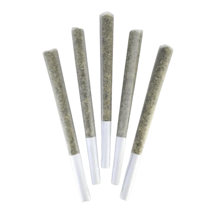 Top-down view of five cone-shaped Super Silver Bubba PR 5 x 0.5 g pre-rolls fanned out on a white background.