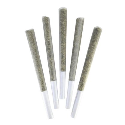 Top-down view of five cone-shaped Super Silver Bubba PR 5 x 0.5 g pre-rolls fanned out on a white background.