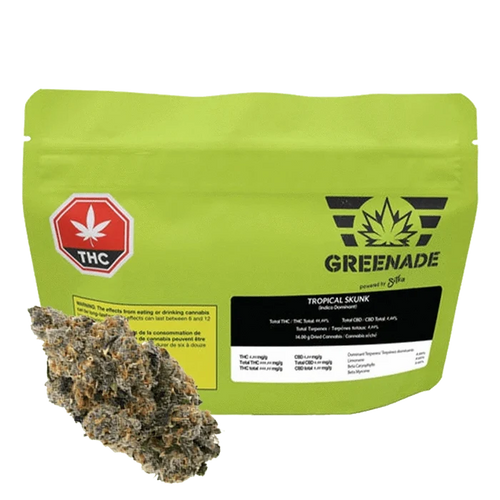 Front-facing pouch of Greenade Tropical Skunk in lime packaging with a black logo and a cannabis bud pictured at the lower left.
