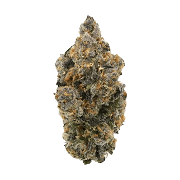 Single top-down view of a dense, frosty bud of Tropical Skunk showing green, purple undertones and bright orange pistils.