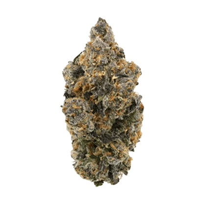 Single top-down view of a dense, frosty bud of Tropical Skunk showing green, purple undertones and bright orange pistils.