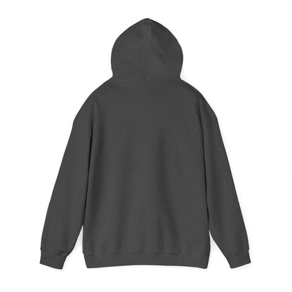 Unity Christian School Hoodie - Unisex Heavy Blend™ Sweatshirt