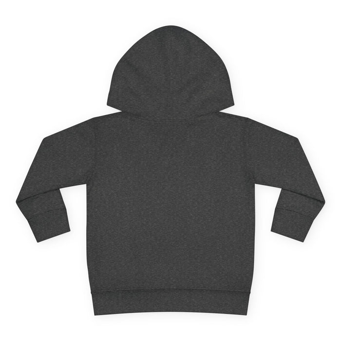 Unity Lion Toddler Hoodie — Cute Kids Pullover Fleece Hoodie