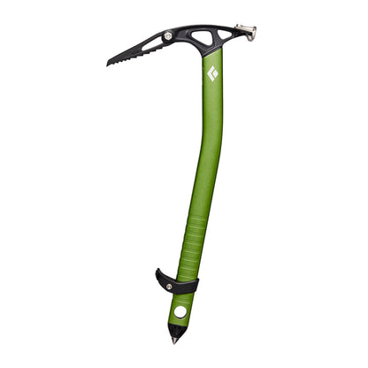 Envy Green