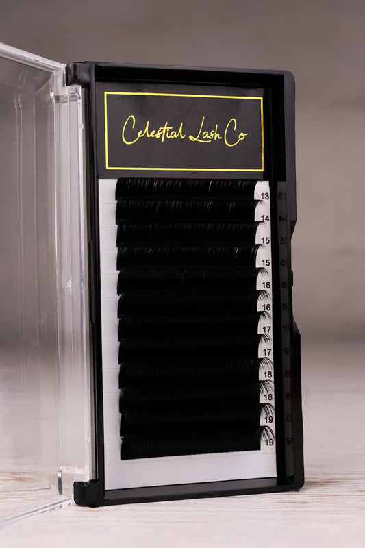 Volume Lashes