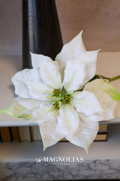 Winter White Poinsettia Spray