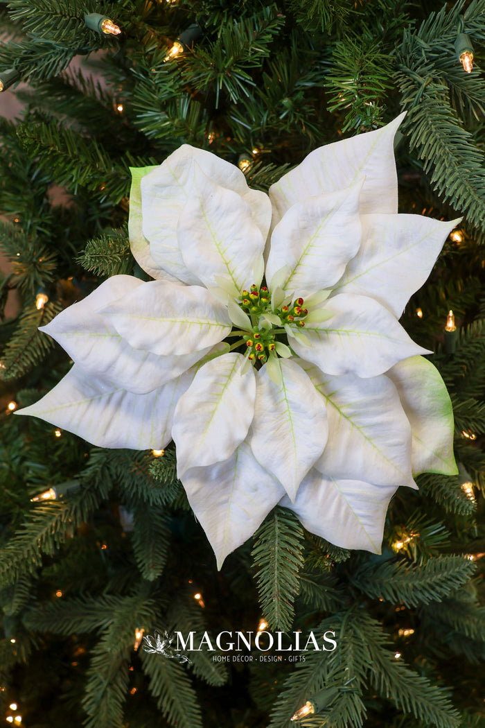 Winter White Poinsettia Spray