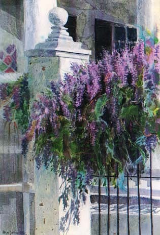 Wisteria