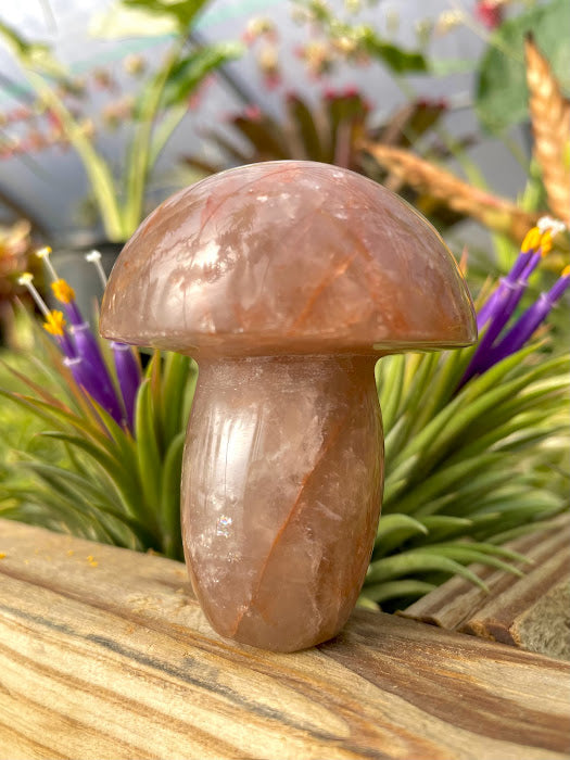 WYSIWYG- Fire Quartz Mushroom
