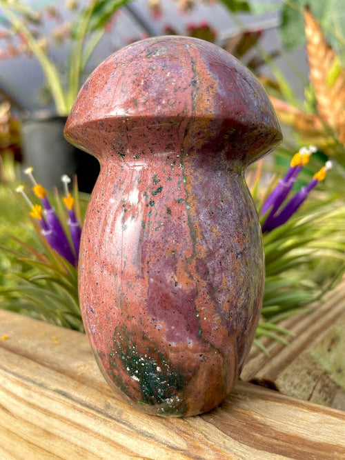 WYSIWYG- Ocean Jasper Mushroom