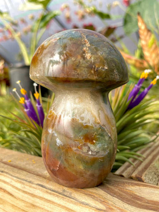 WYSIWYG- Ocean Jasper Mushroom