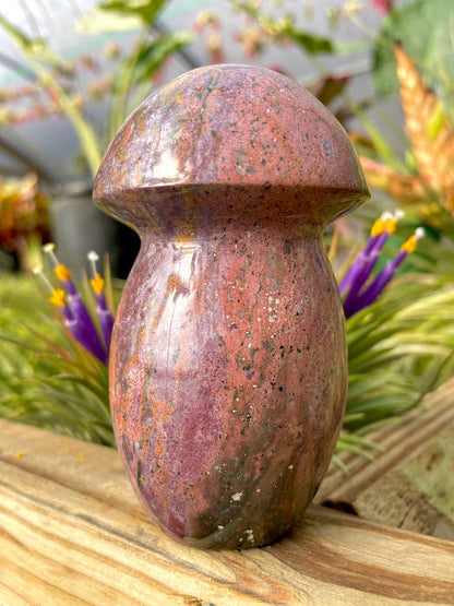 WYSIWYG- Ocean Jasper Mushroom