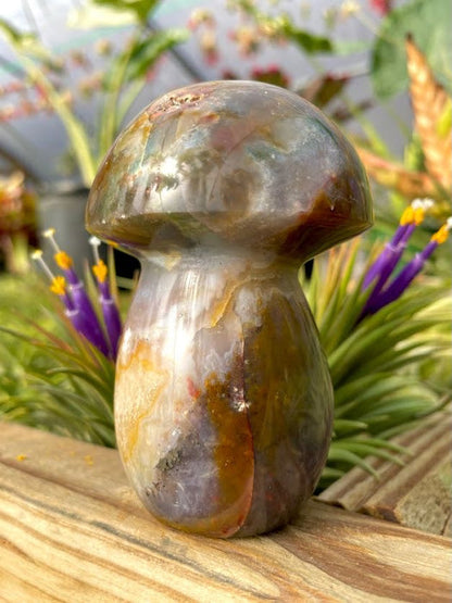 WYSIWYG- Ocean Jasper Mushroom