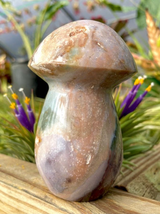 WYSIWYG- Ocean Jasper Mushroom
