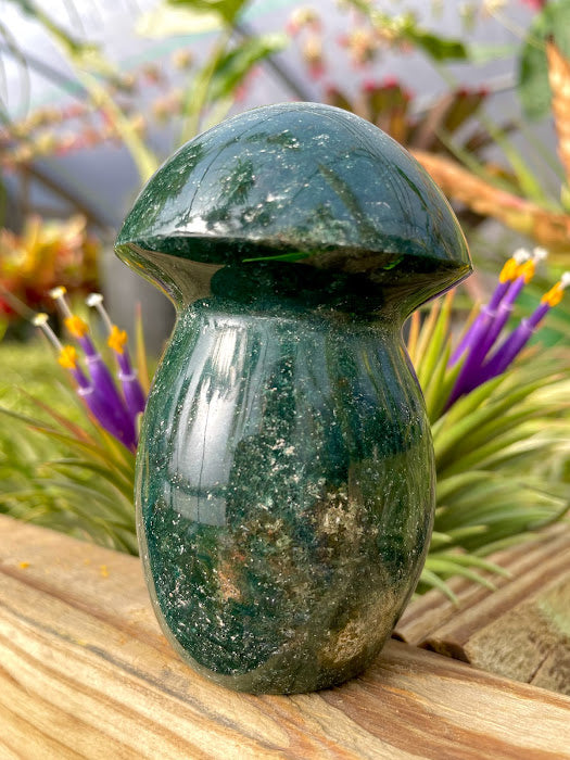 WYSIWYG- Ocean Jasper Mushroom