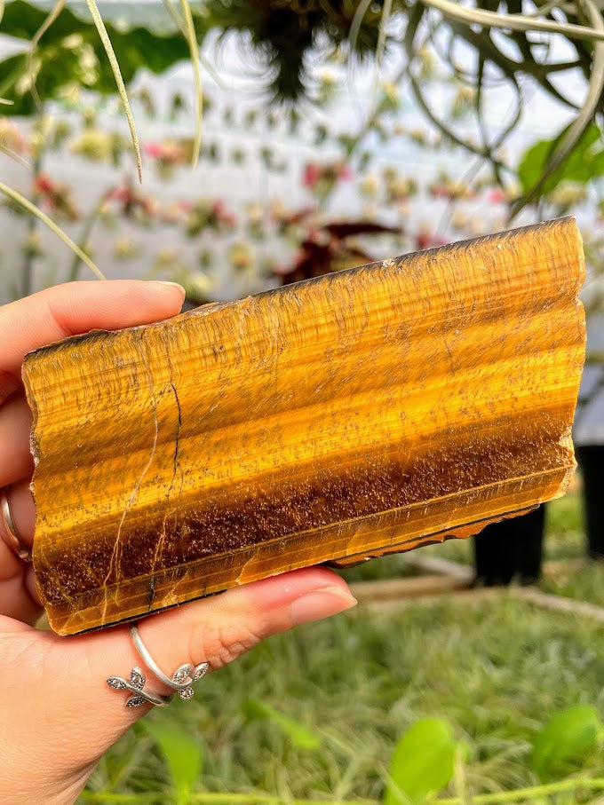 WYSIWYG- Tiger's Eye Slab