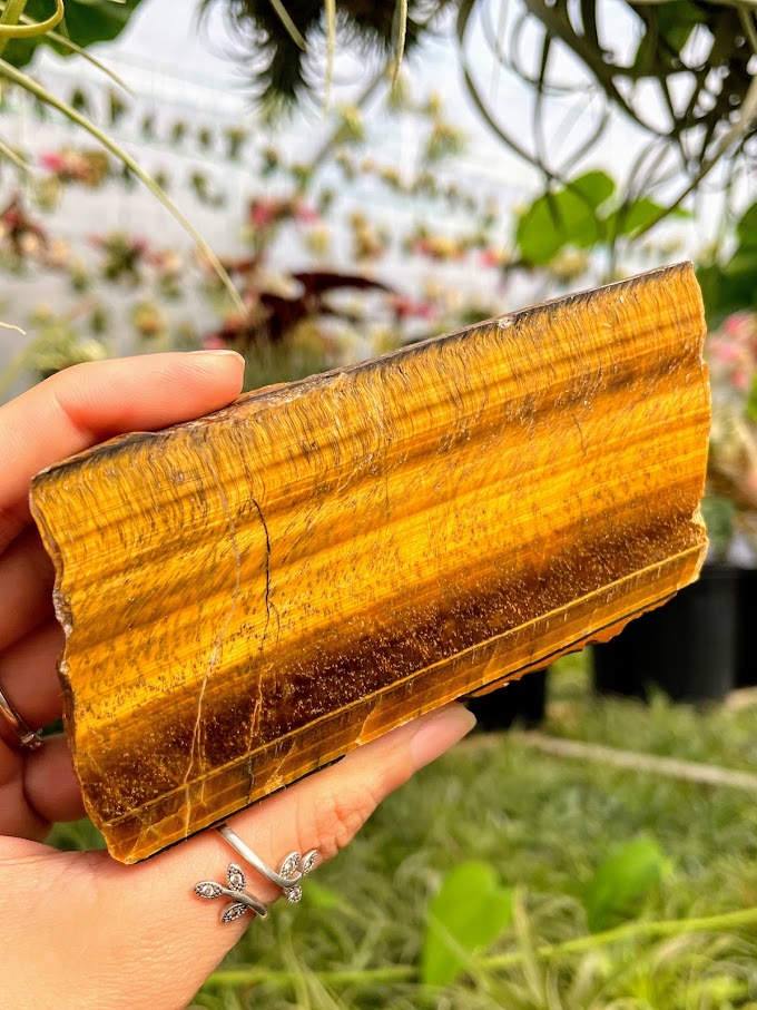 WYSIWYG- Tiger's Eye Slab