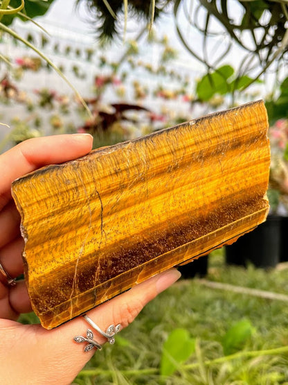 WYSIWYG- Tiger's Eye Slab