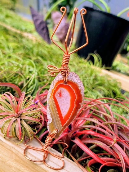 WYSIWYG Agate Crystal Butterfly Air Plant Holder with Ionantha Mexican