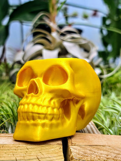 Yellow Skull 3D Printed Holder w/ Ionantha Druid